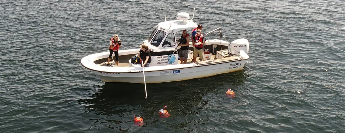 Students on a U N E research boat